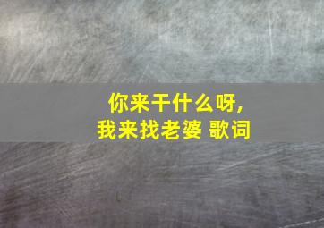 你来干什么呀,我来找老婆 歌词